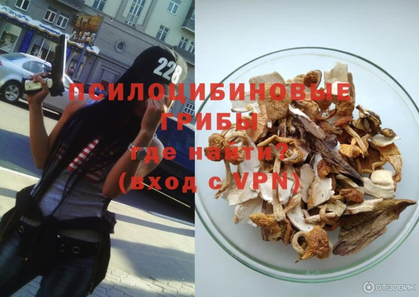 кокс Алексин