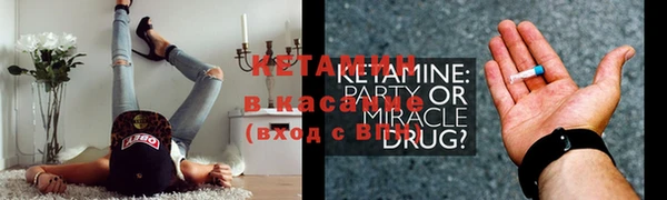 сатива Гвардейск