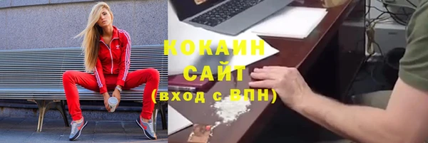 кокс Алексин